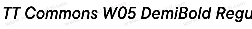 TT Commons W05 DemiBold Regular下载字体转换